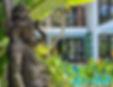 Ayurvedic Spa - Embrace Rejuvenation and Serenity in Bali