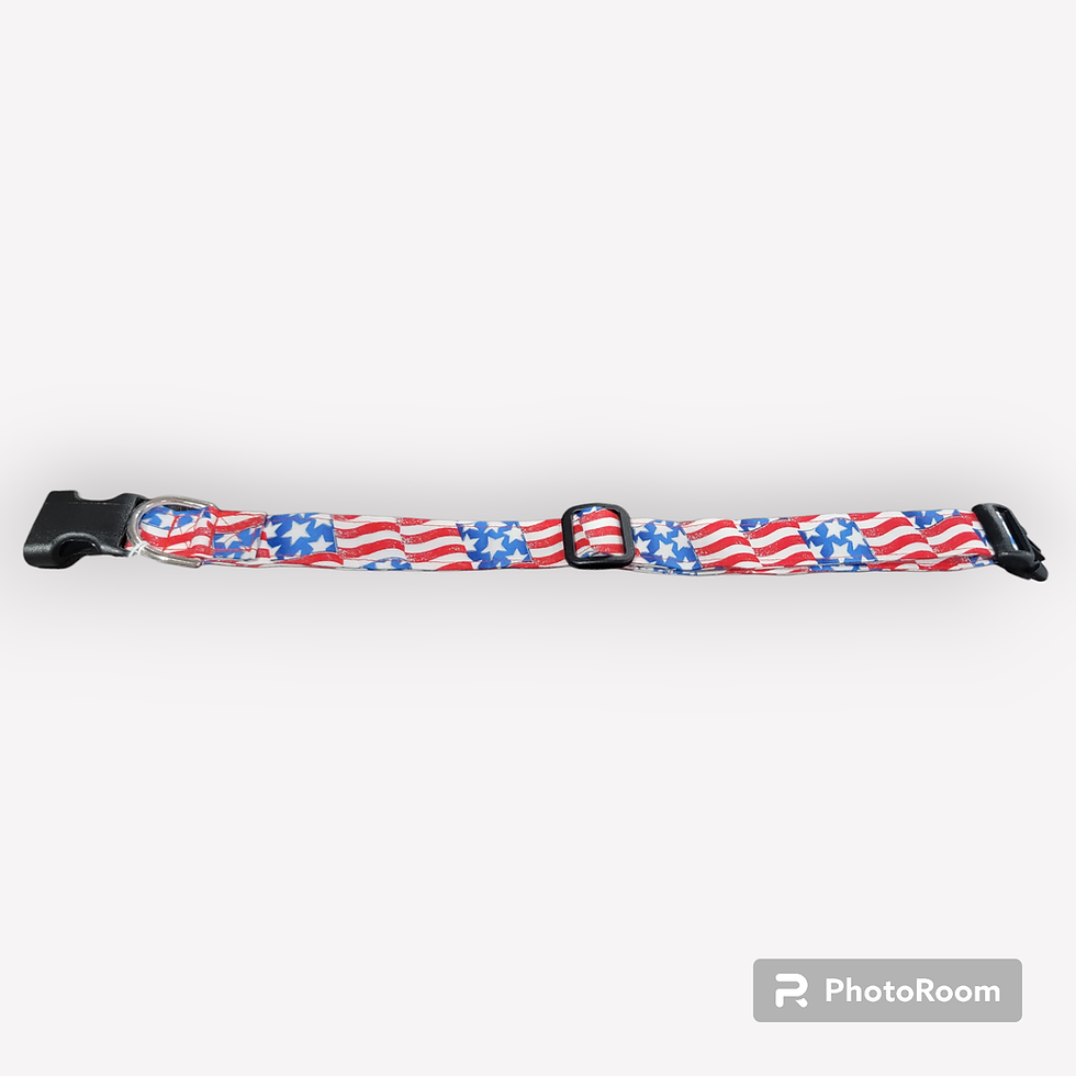 Thumbnail: Collar- Flag-Extra Large