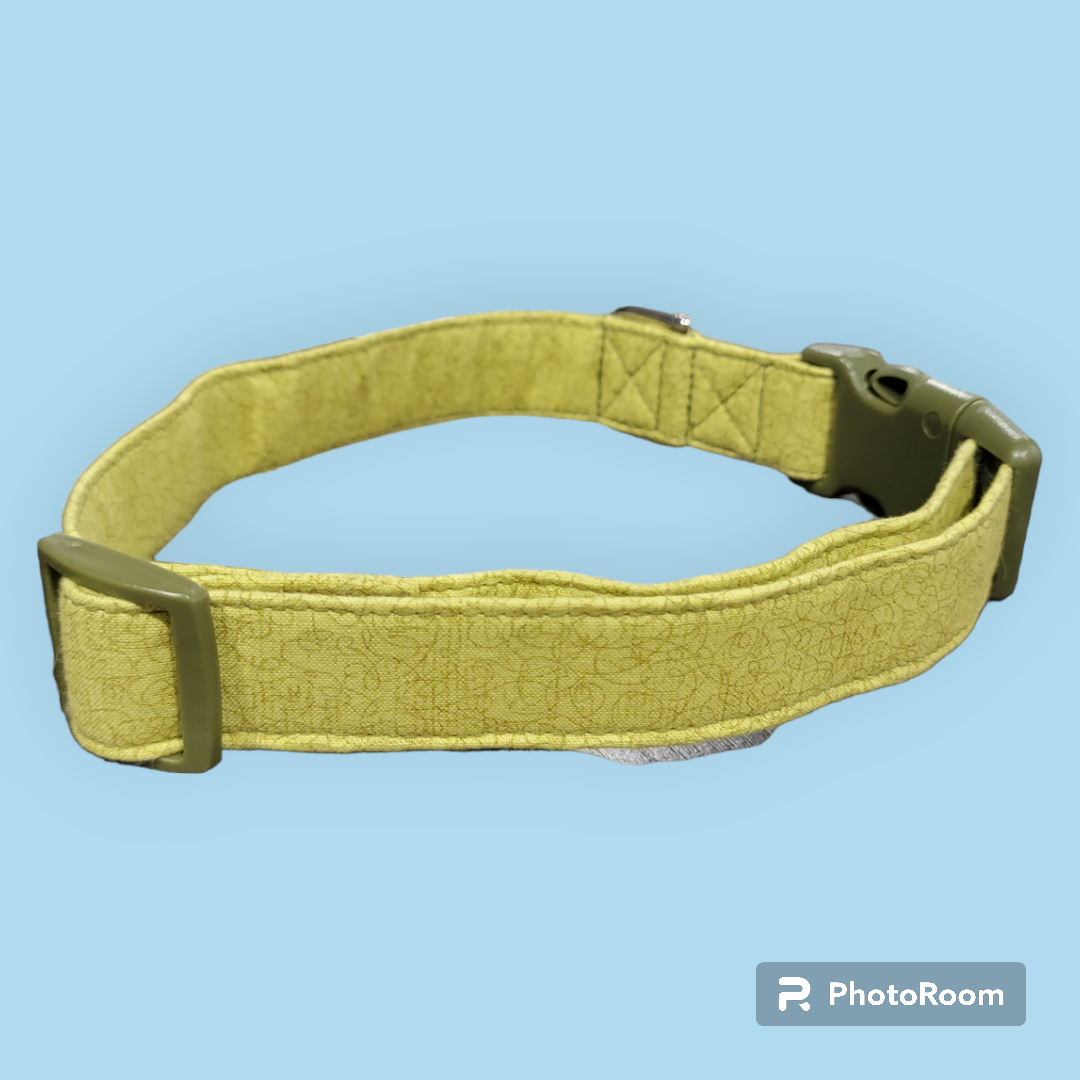Collar- Spring Green -Extra Large