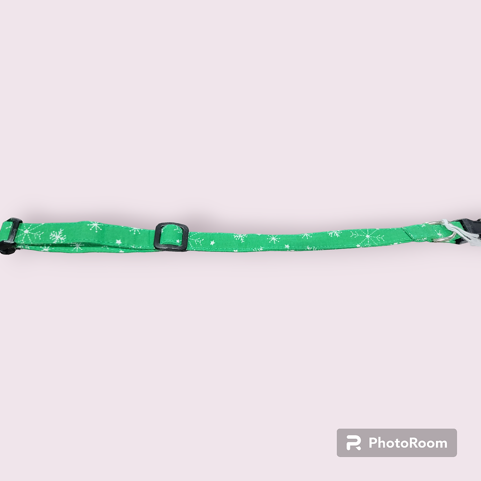 Thumbnail: Collar- Snowflakes on Green- Petite