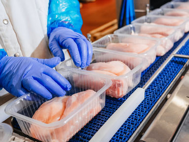 Conveyor Belt Food.Modern poultry processing plant.Meat processing plant.Chicken fillet production line.Automated production line in modern food factory.