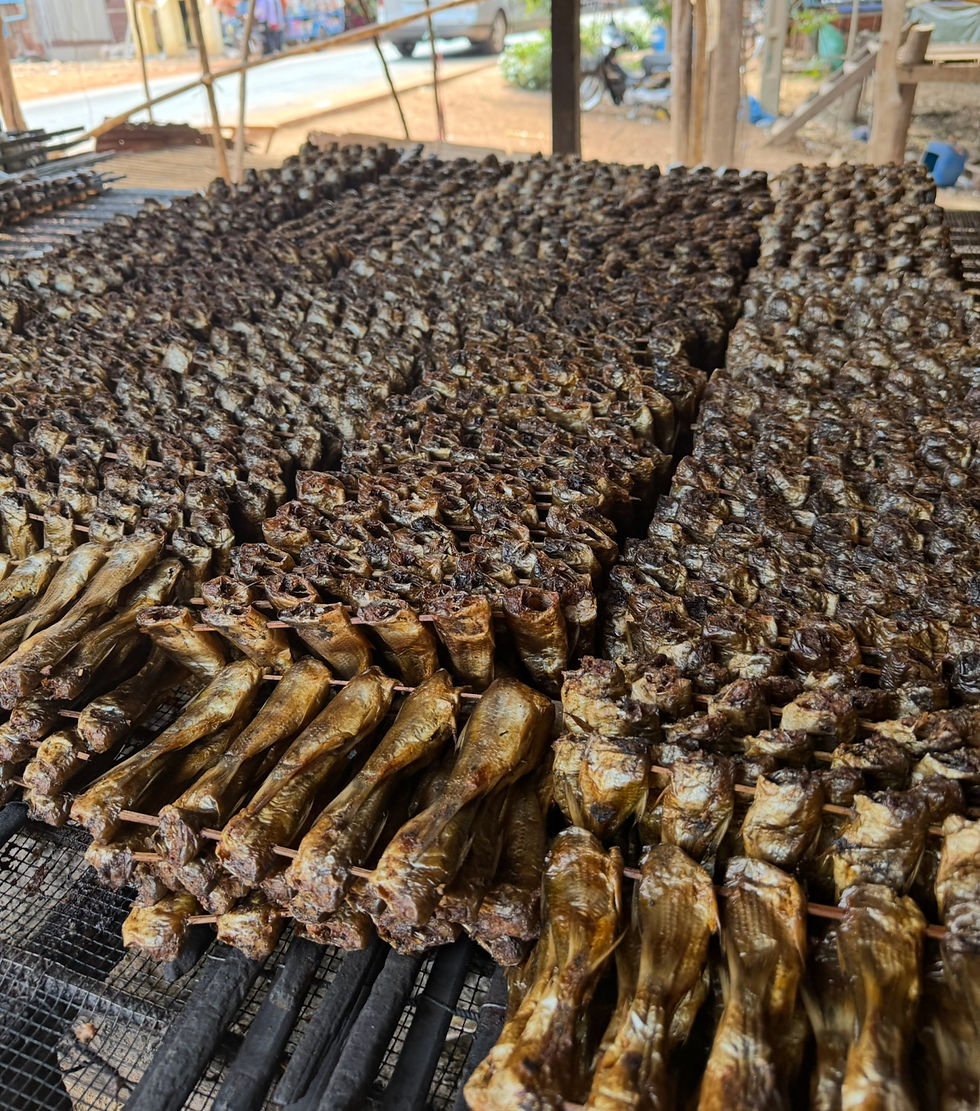 Food drying outdoors on racks