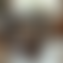 The Guide for the Best Dog Crate for Your Pet