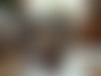 The Guide for the Best Dog Crate for Your Pet