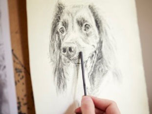 Illustration of a dog