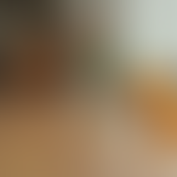 Ensuring Safety in Safe Dog Toys