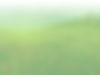 Brightly Learning Background