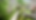 FTB5.png