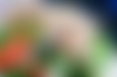 Notas de Influencia Extranjera en México