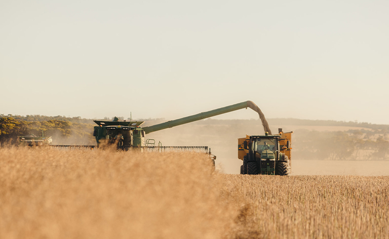 Growers actively managing grain sales - Cropping Update February 23