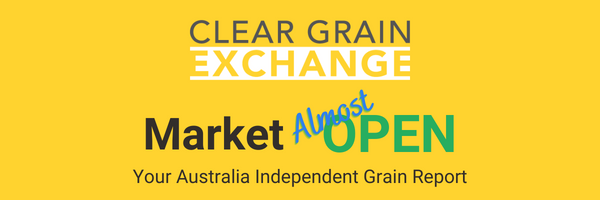 Market Almost Open - CGX daily report