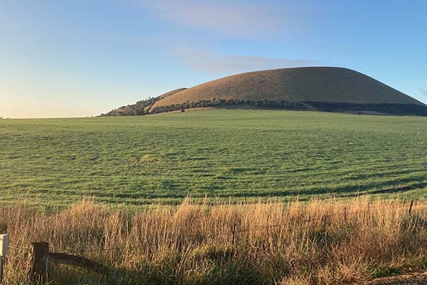 Northern hemisphere weather creates price volatility - Cropping update July