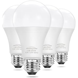 100W Equivalent light bulb