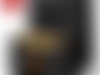 Emeril Lagasse Everyday 360 Air Fryer