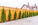 Wood, Vinyl & PVC Fence Installation & Repair – Derby CT | D&B Landscape Contractors