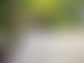 Outdoor Living Spaces, Patios, Landscape Lighting - Stratford, CT