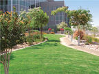 Best Commercial Landscape Property Maintenance Services in Stratford, CT