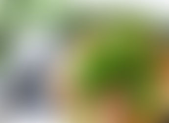 Pizza santé au prosciutto sur pain Naan