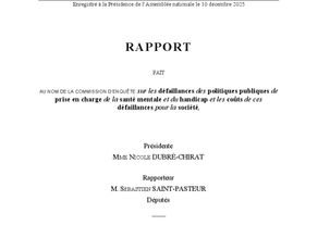 Rapport Santé Mentale et Handicap