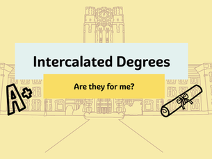 Intercalated Degrees: Are they for me?