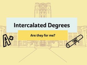 Intercalated Degrees: Are they for me?