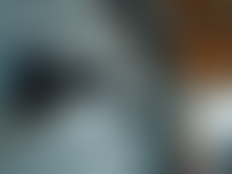 Comprehensive Garage Door Repair Solutions for Your Home