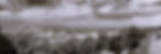 Vista Torino collina.jpg