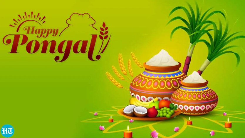 Pongal Celebrations at Bangalore!
