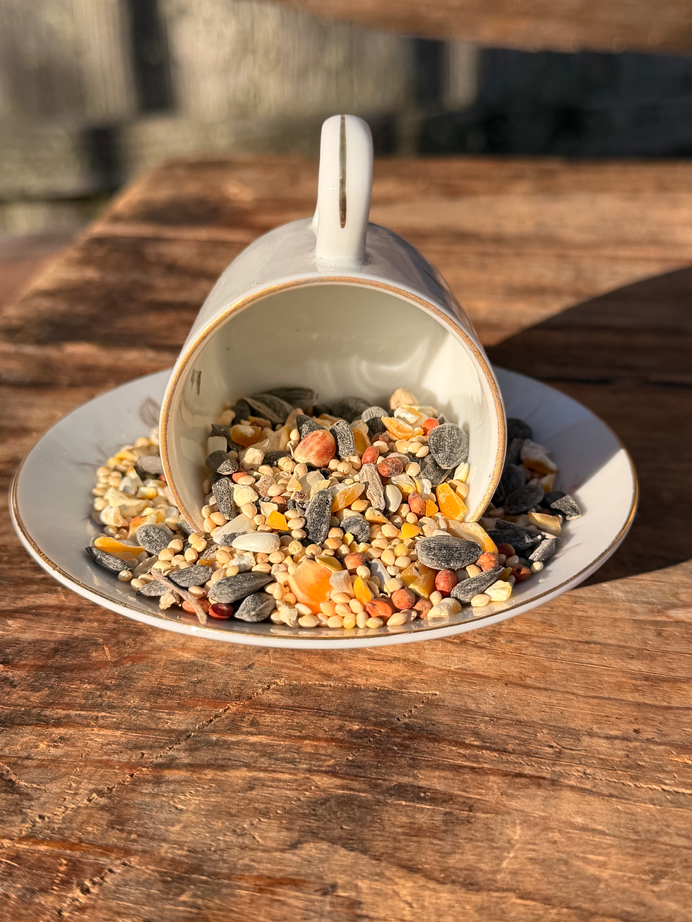 Thumbnail: Tea Cup Bird Feeder- Rose Bloom