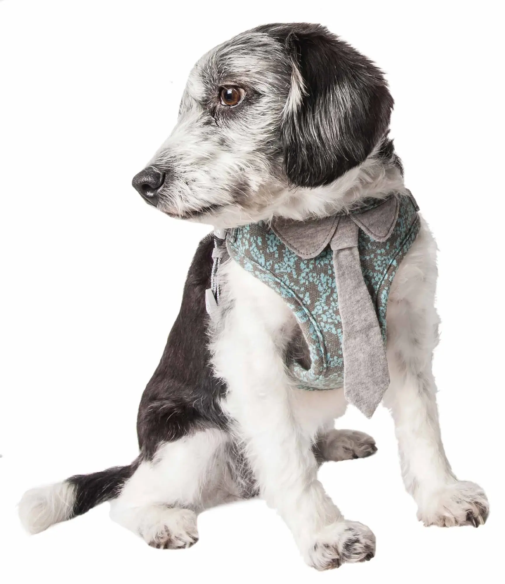 Pet Life 'Fidomite' Mesh Reversible And Breathable Adjustable Dog Harness