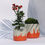 Thumbnail: Playful Orange Concrete Planters (Set of 2)