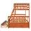 Thumbnail: Twin-Over-Full Bunk Bed with Ladders, Walnut