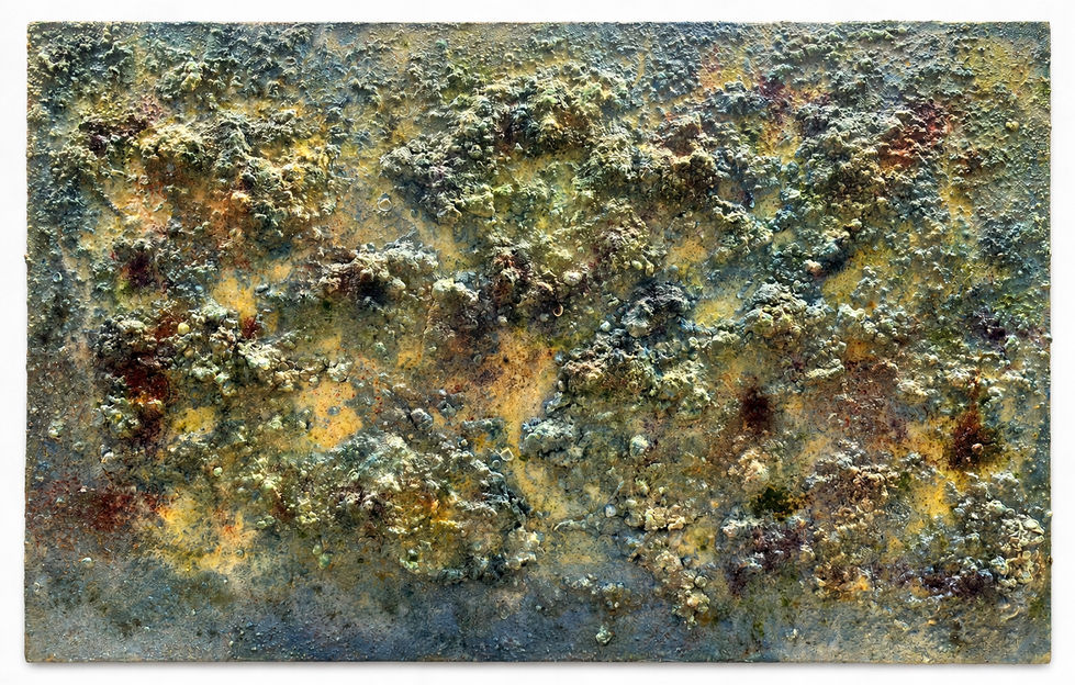 Preserved beach