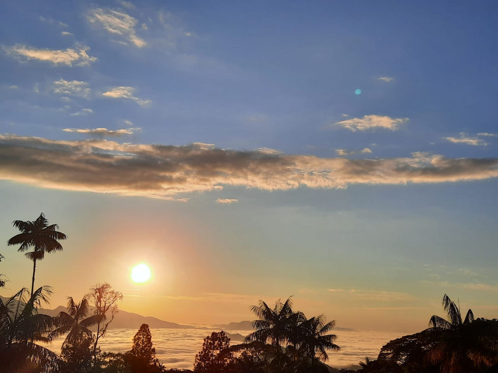 f08e33cc-3629-4b20-99f4-59aaf0f93648