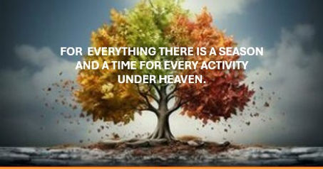 Final Seasons Tree wth Text.jpg