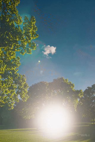 20250709_1733_Mystical Park Glow_simple_compose_01jzq3by7qfzka62d61f4xsyak.gif