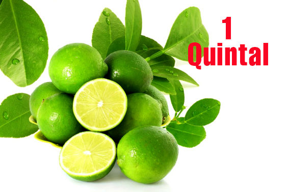 Thumbnail: Limón Verde Pequeño
