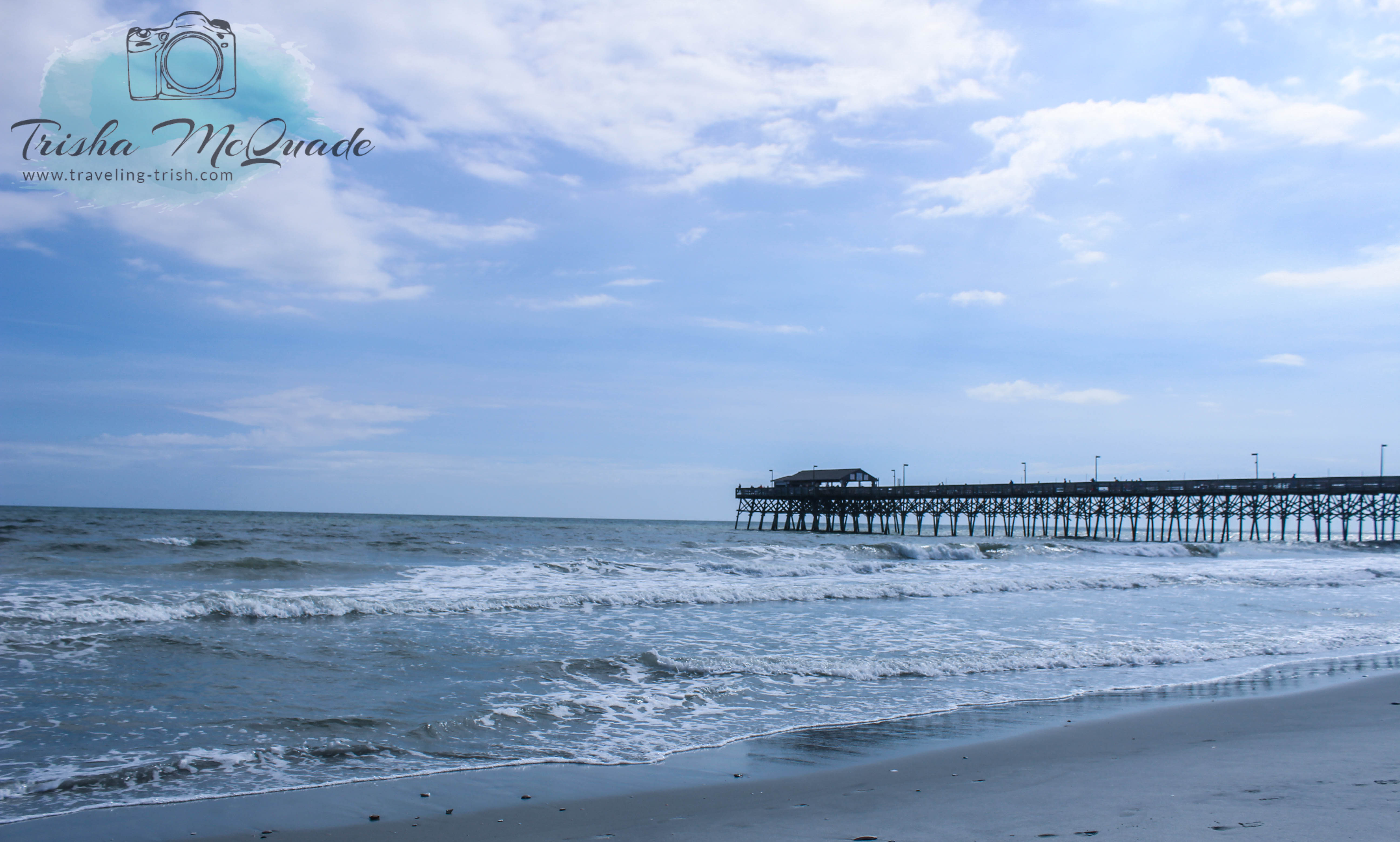 Seagull and Pier