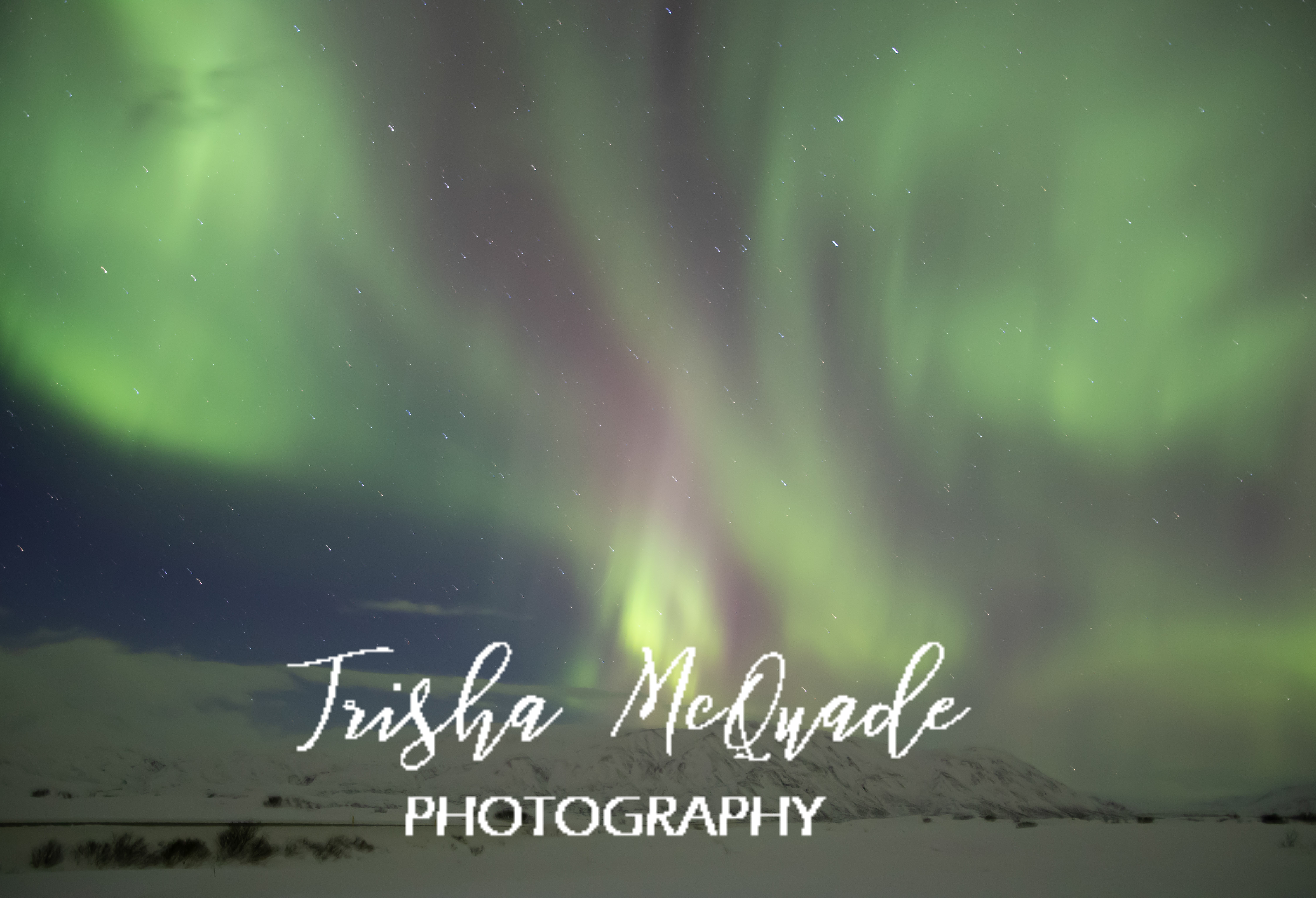 Iceland Nights