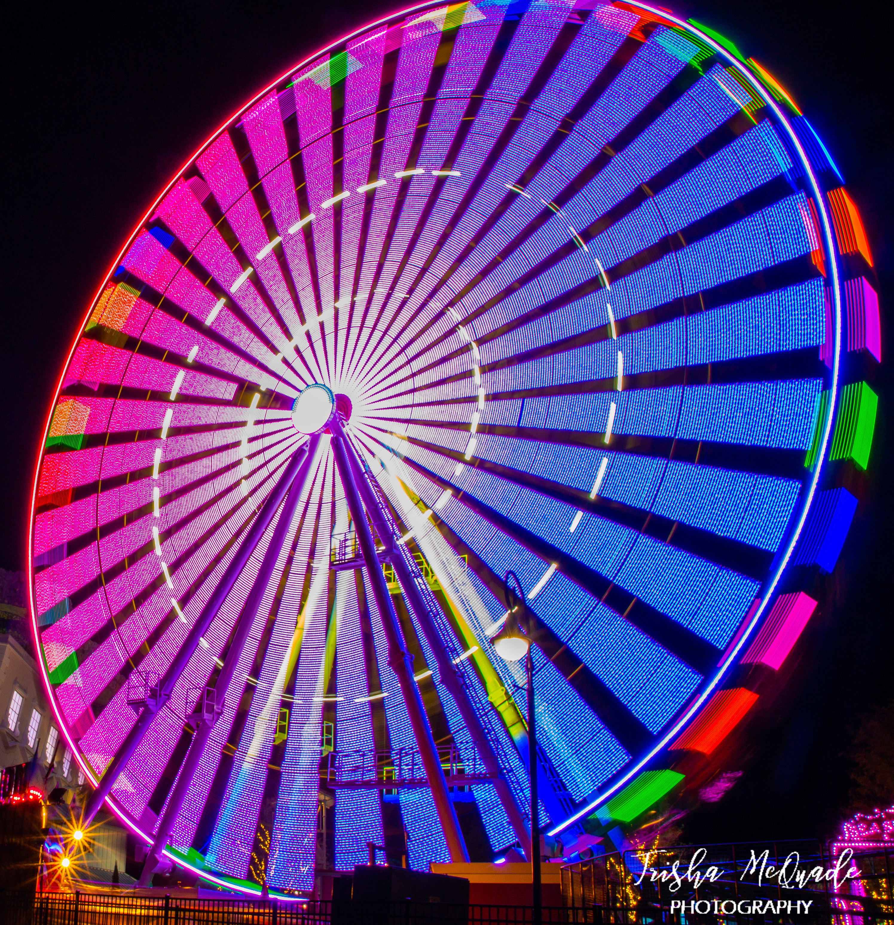 Pink Spins