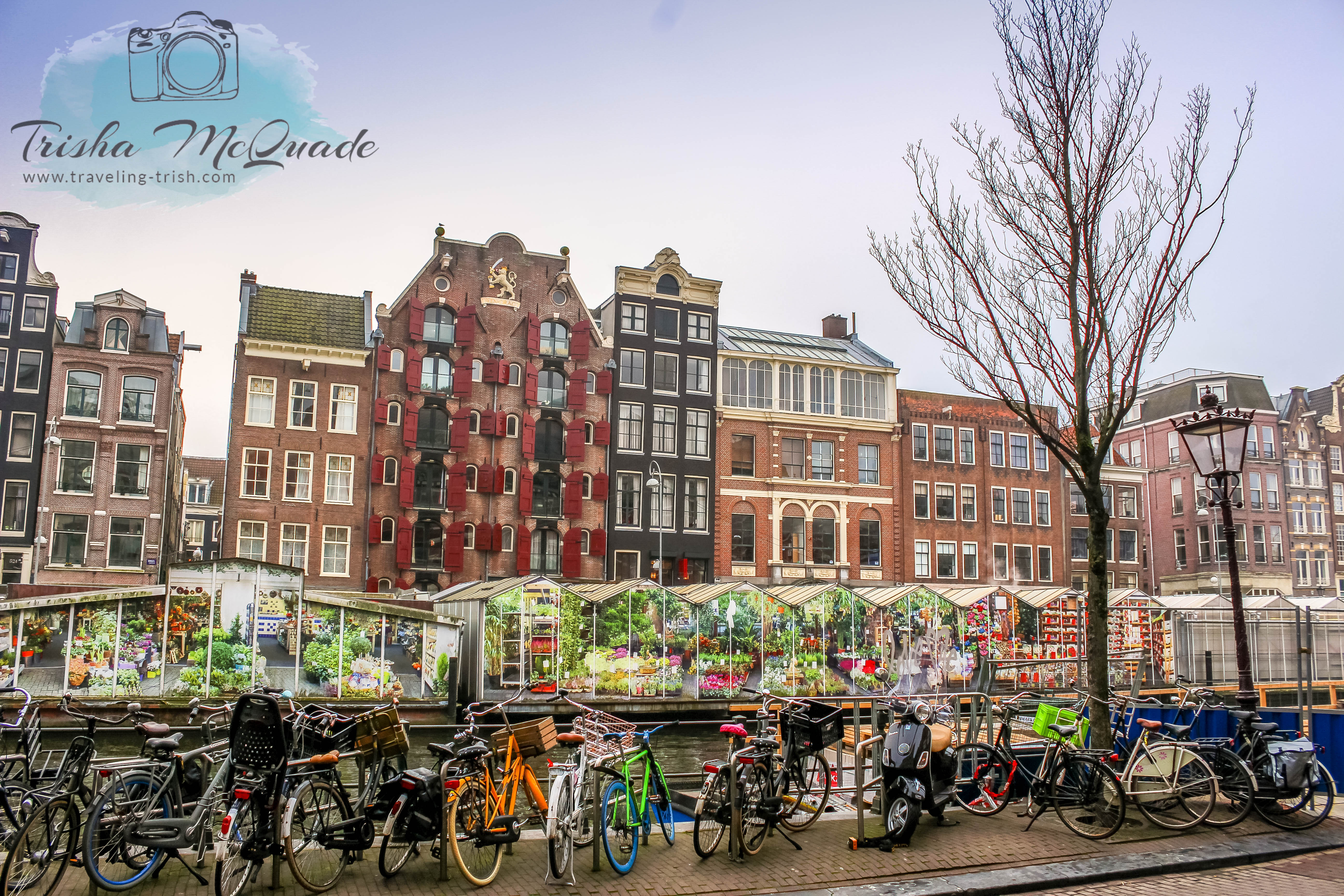 Dancing Houses