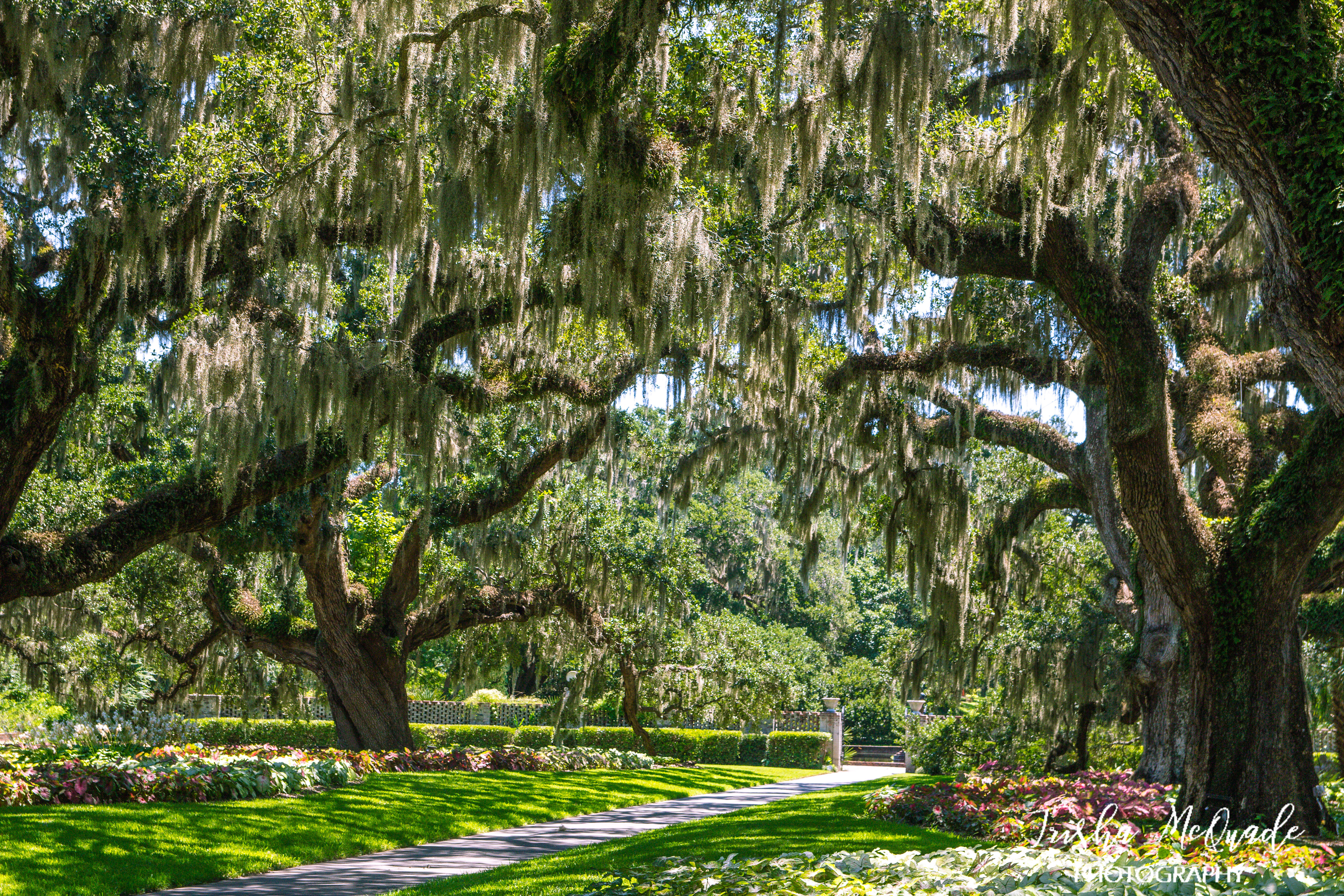 Green Gardens