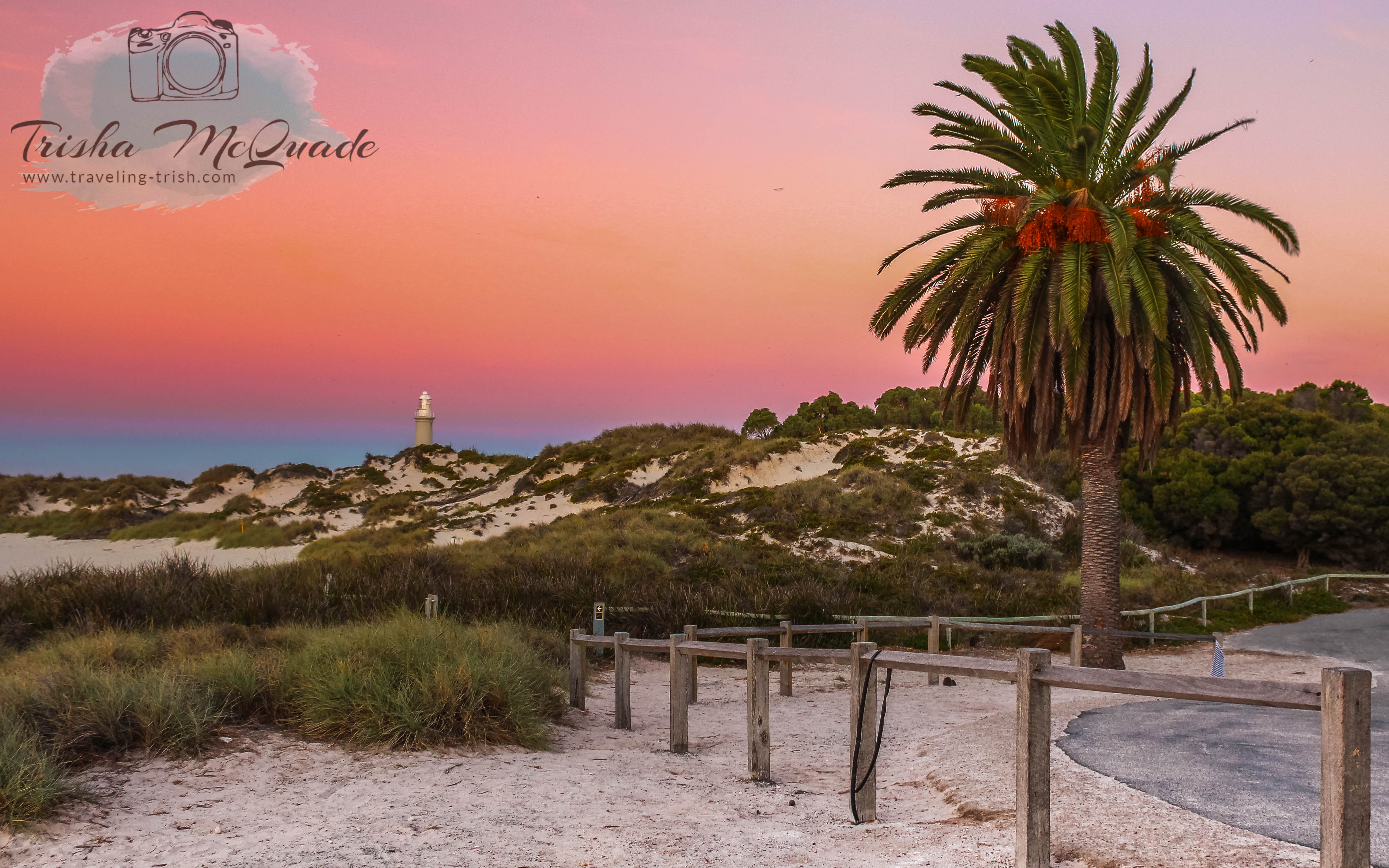 Pinkys Beach Tree