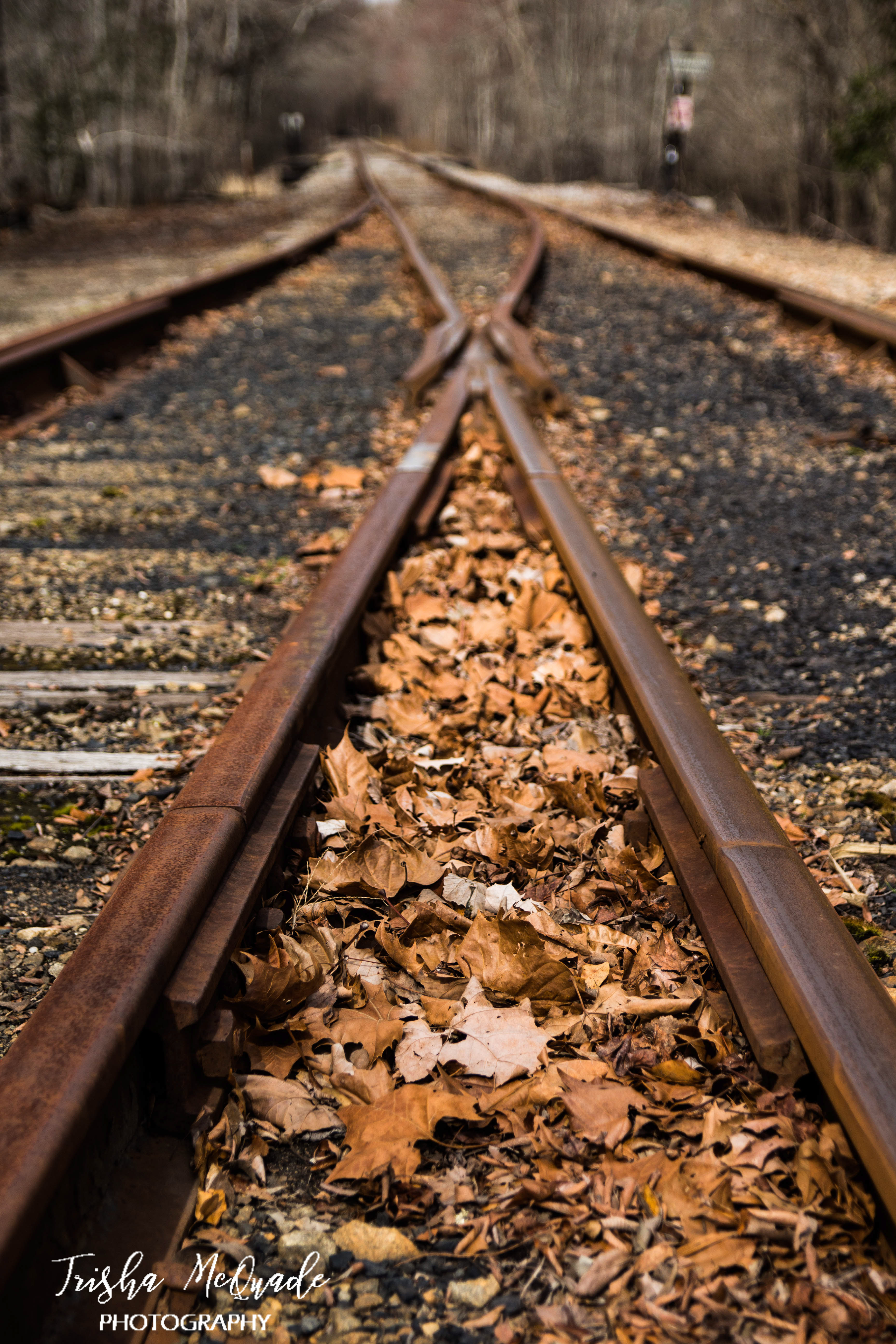 Railway Perspective