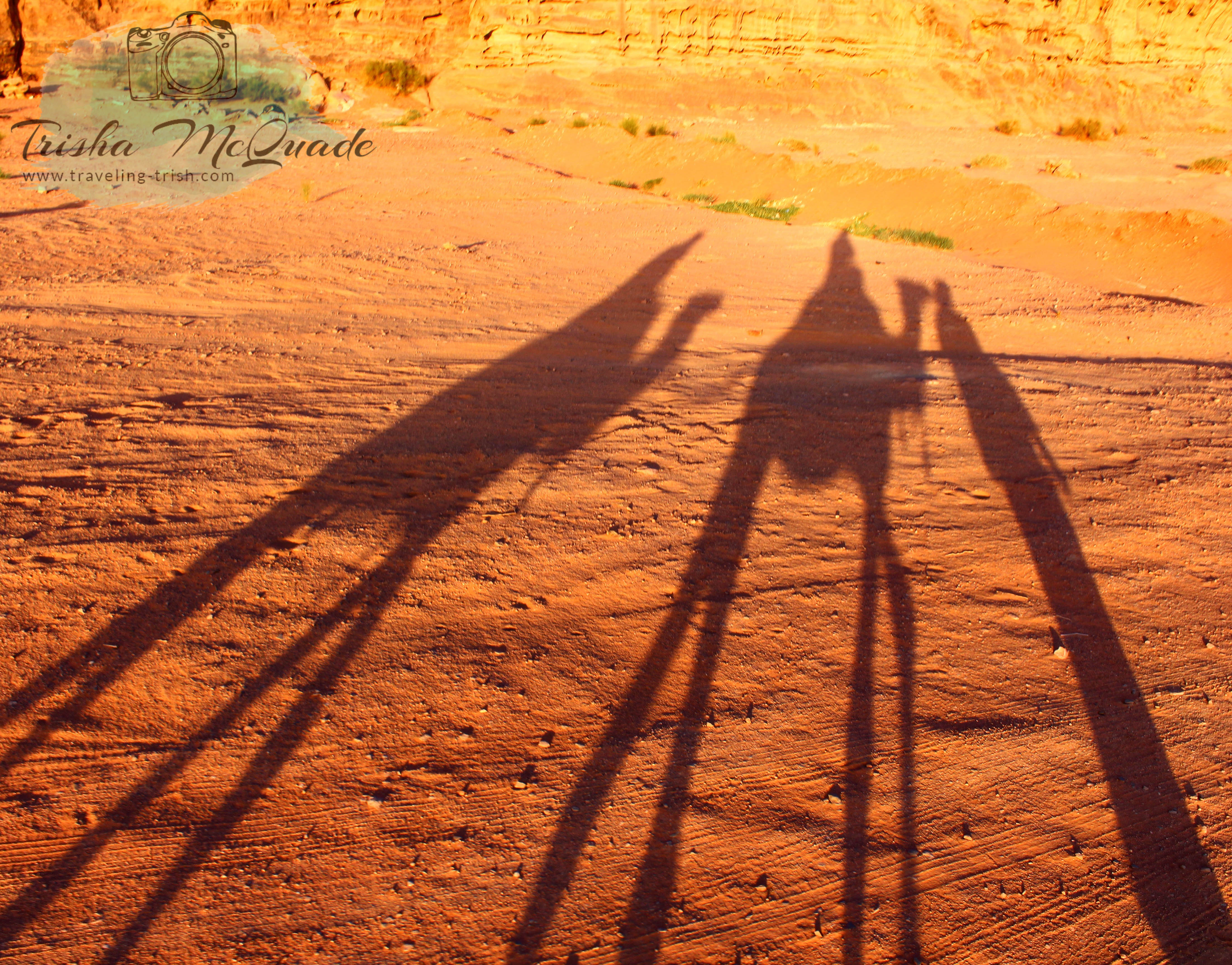 Shadow Camels