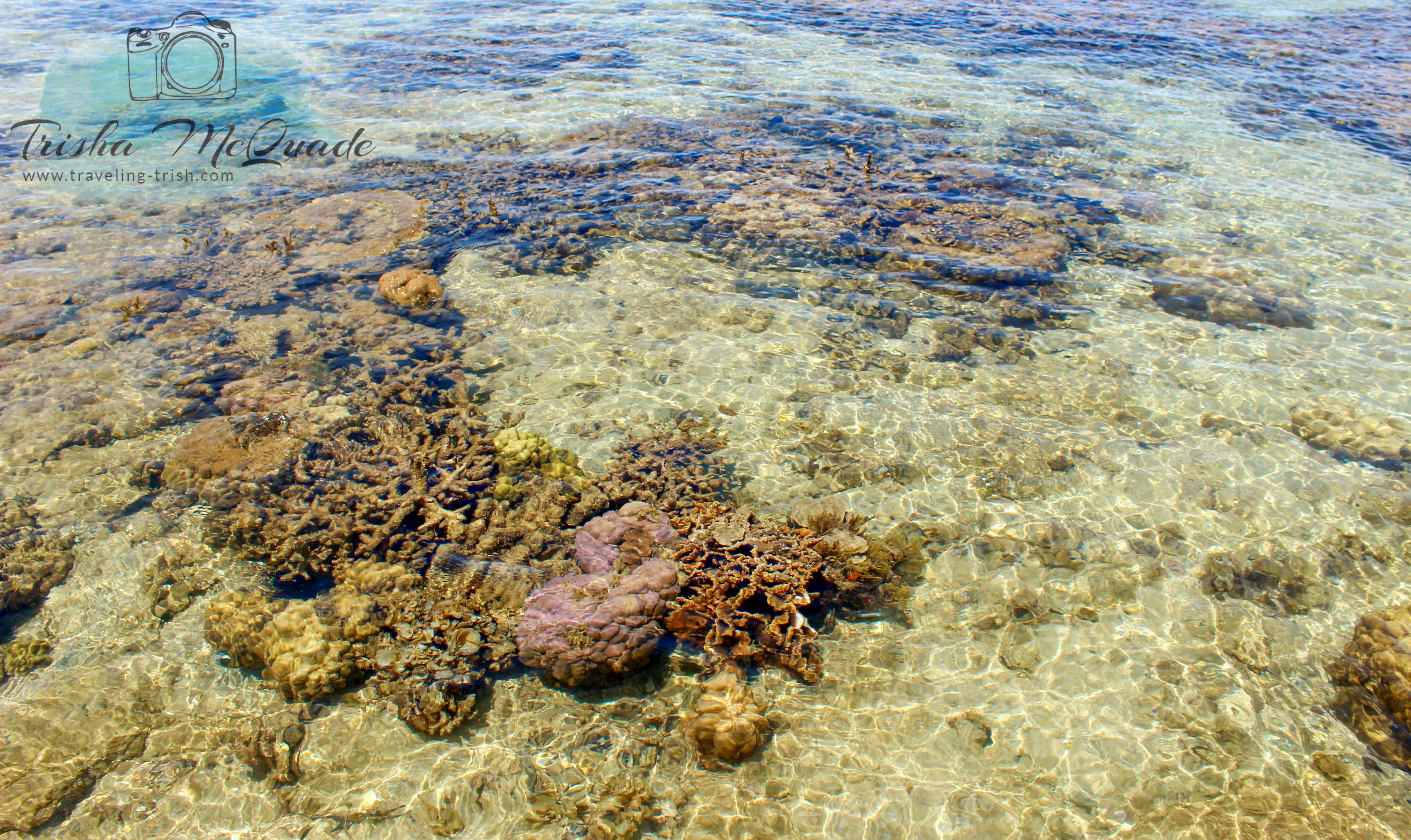 Water Clarity