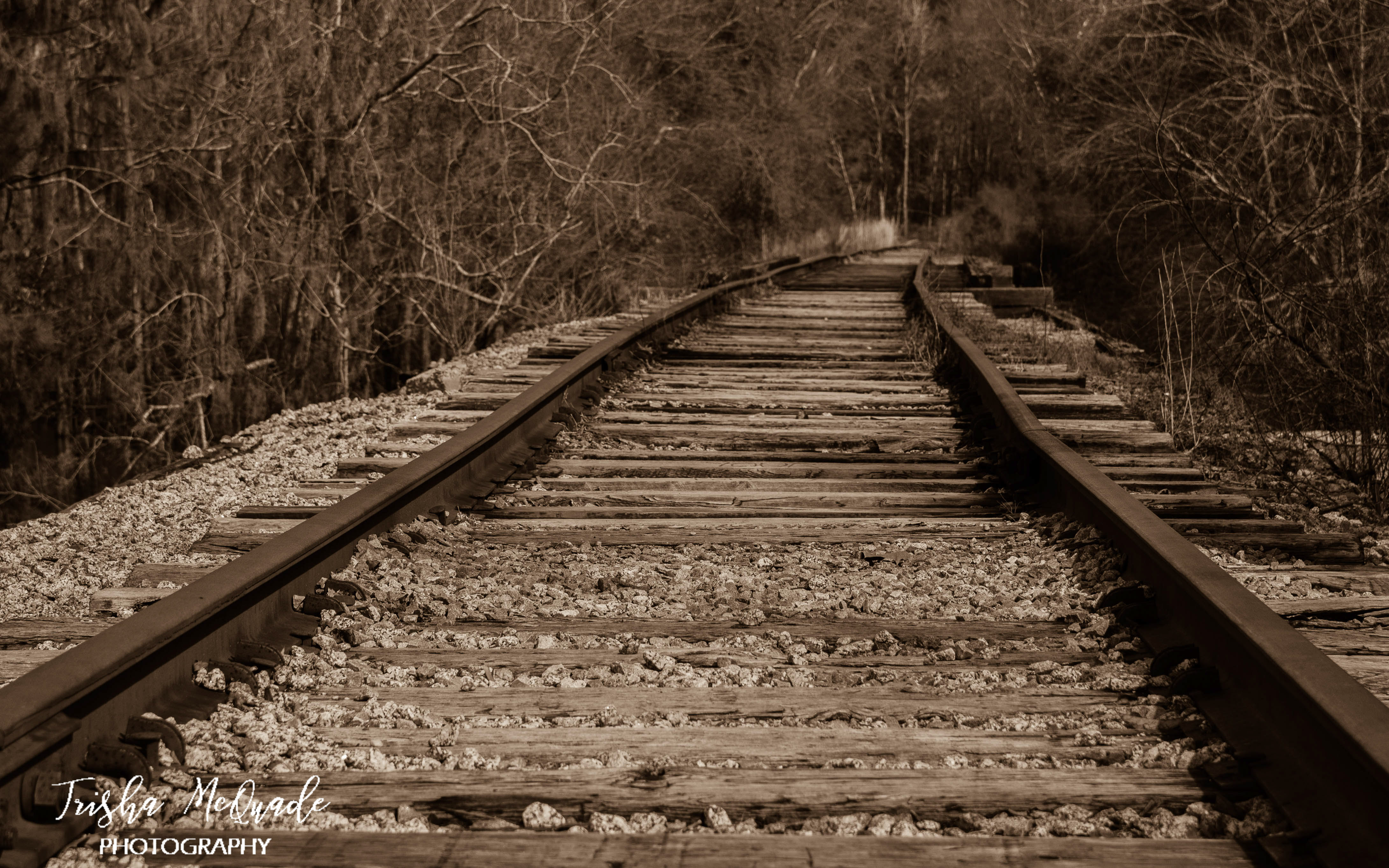 Sepia Tracks
