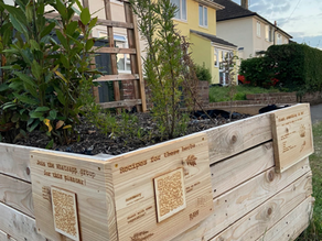 Supporting Edible Streets Oxford