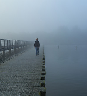 Morning Fog