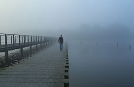 Morning Fog